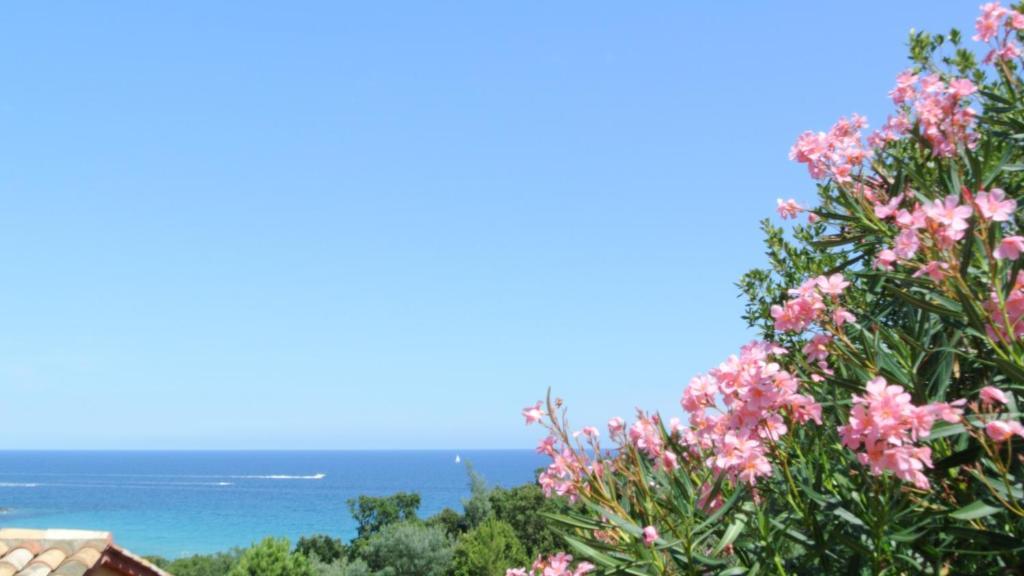 Hotel Residence San Pieru Tarcu Zimmer foto